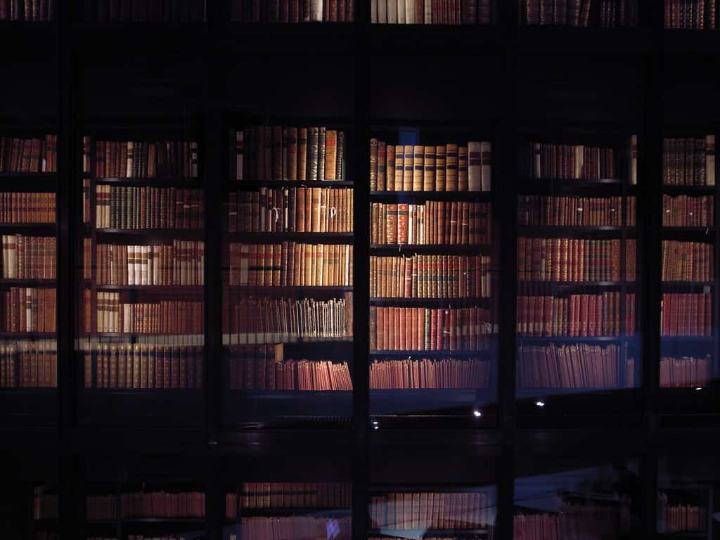 Florida Education Commissioner Gives Districts 90 Days to Purge Sexually Explicit Books