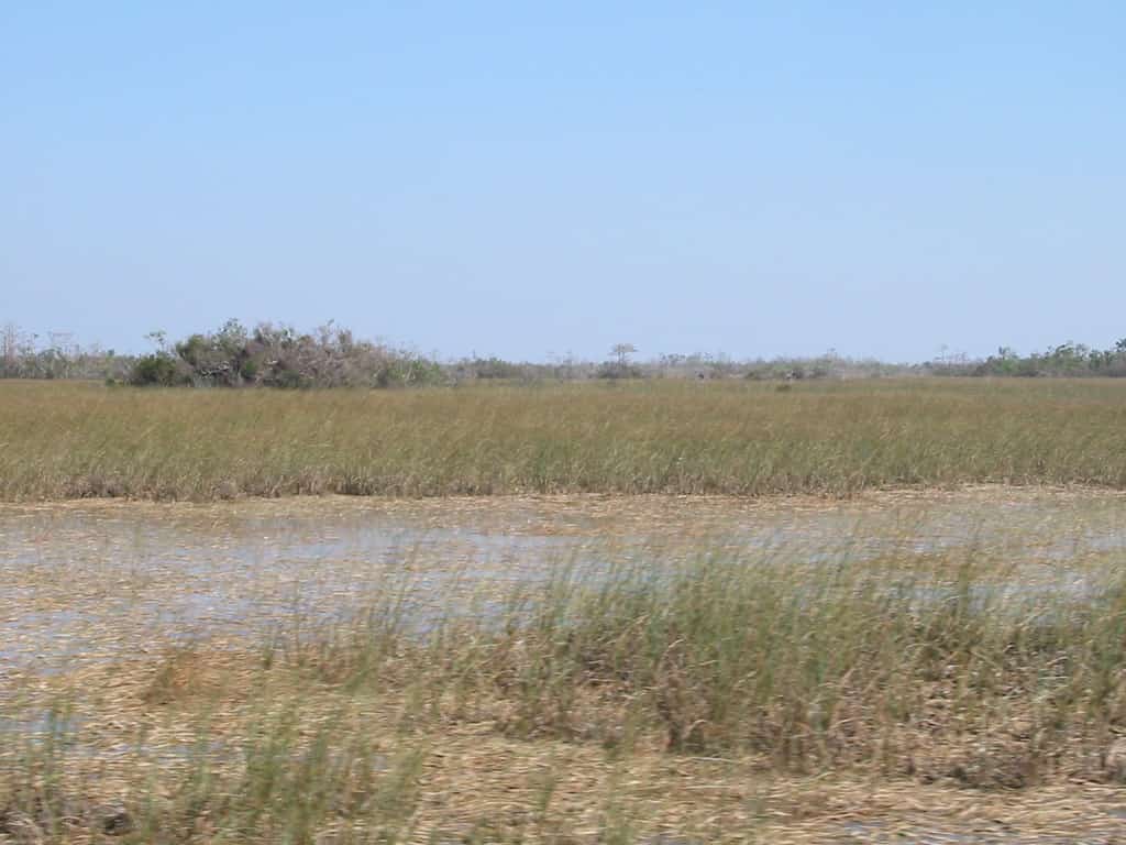 Florida Marks Everglades Restoration Milestone as Reservoir Contracts Move Ahead of Schedule