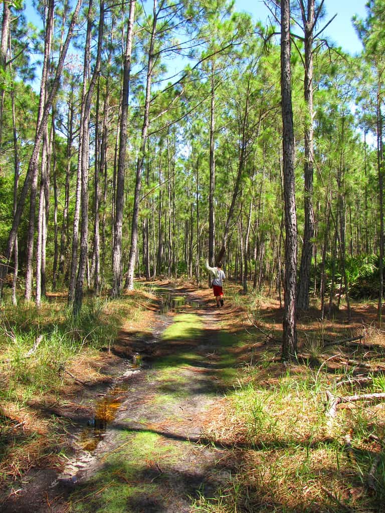 Florida Attorney General Proposes New Felony Charge for Poaching Near Homes and Occupied Buildings