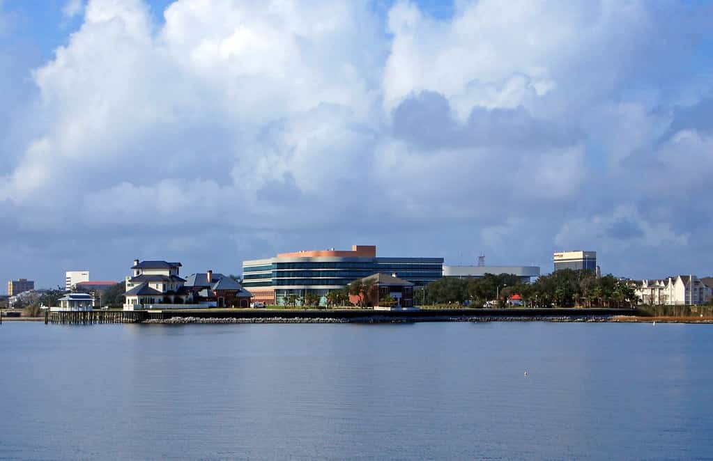 FDLE Cybercrime Agents Make Arrests in Pensacola and Mount Dora Cases