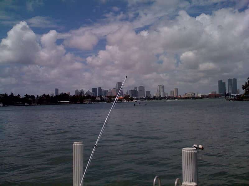 The downtown Miami skyline seen from Biscayne Bay