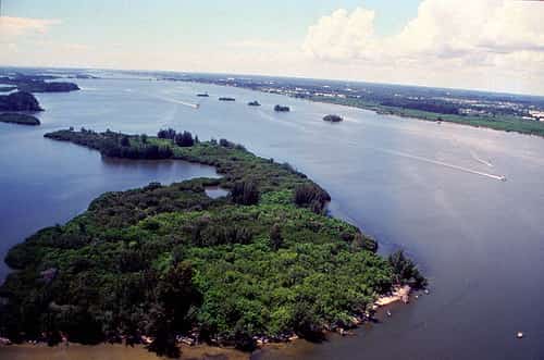 Seagrass Is Returning to the Indian River Lagoon, and a New Map Shows How