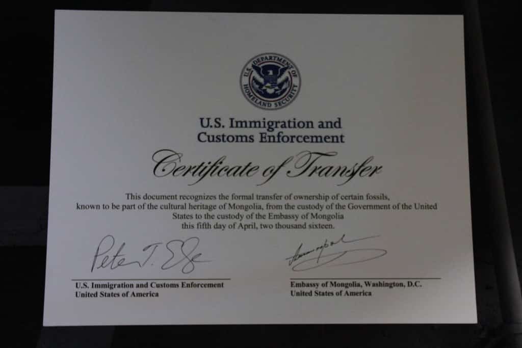 Florida's Immigration Crackdown Deepens as Operation Tidal Wave Tops 10,000 Arrests