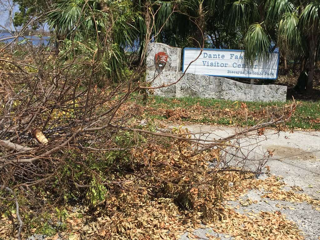 Quiet Tropics Give Florida a Breather as Hurricane Season Enters Its Peak Stretch