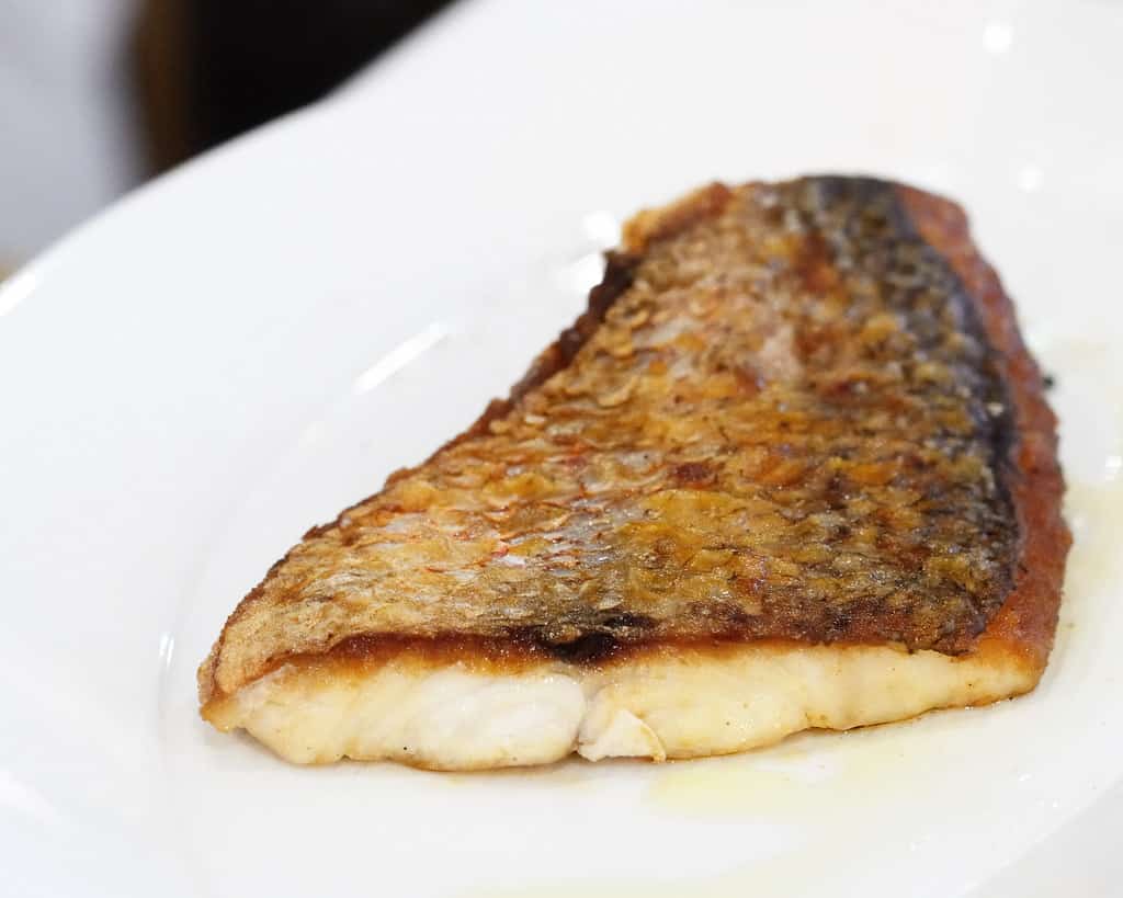 DeSantis Announces Expanded 2026 Red Snapper Seasons as Florida Wins Federal Management Approval