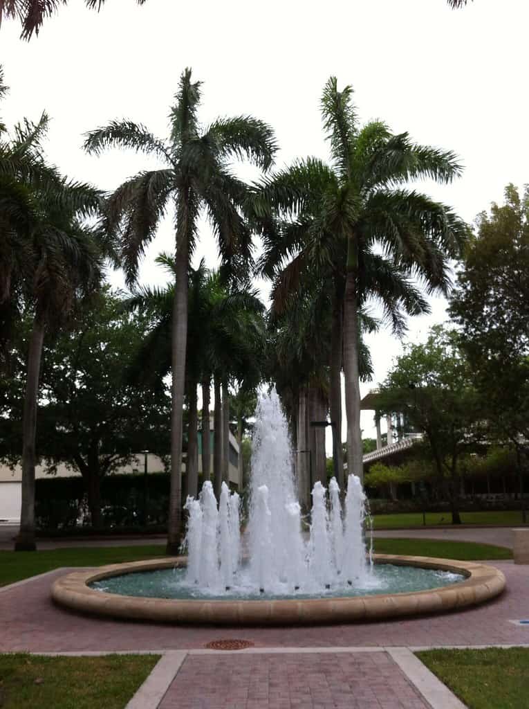 New Federal Limits on Student Visa Stays Reach Florida's International Campuses