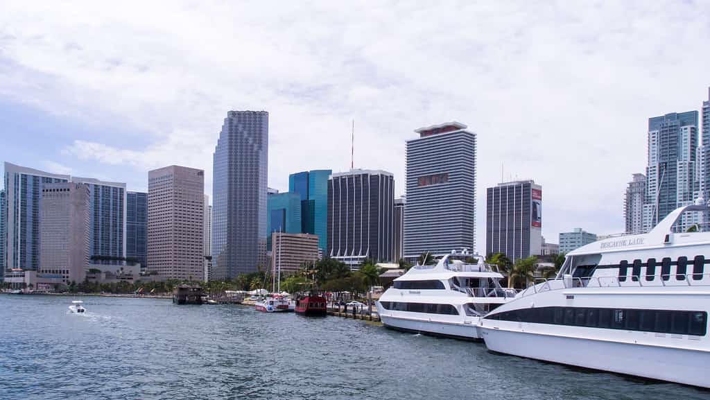 Jury Acquits George Pino in the 2022 Miami Boat Crash That Killed a Teenager