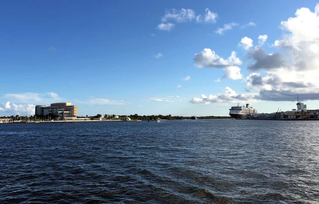 Cruise Lines Deepen Florida Ties as Royal Caribbean and Carnival Expand Port Offerings