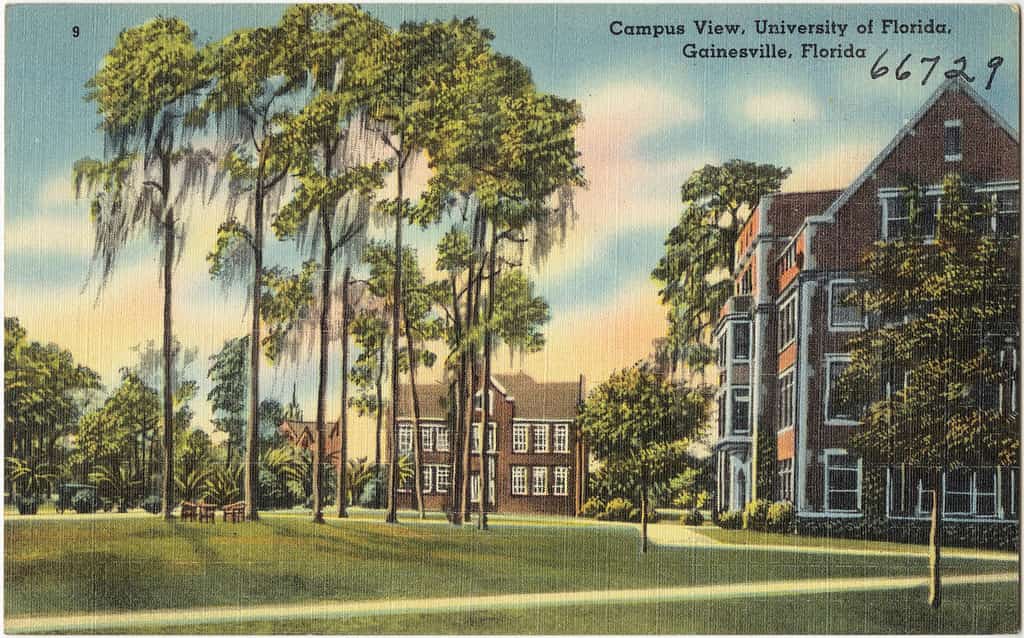 GOP Higher Education Overhaul Reshapes UF Presidential Search and Accreditation