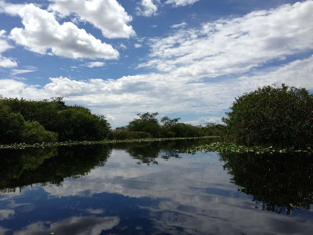 Diaz-Balart Secures $446 Million for Everglades Restoration in Next Year's Federal Spending Bill