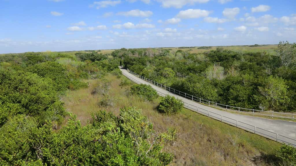 Everglades Reservoir Timeline Moves Up to 2029 After $2 Billion Federal Infusion