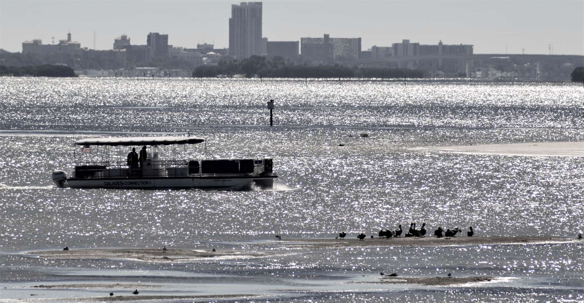 Judge Weighs Whether Jurors Can Hear About Jeff Knight's 2019 Boat Crash in Clearwater Ferry Case