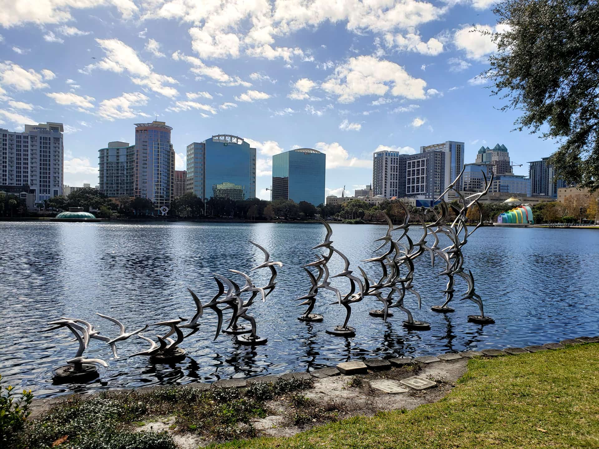 Orlando Removes All 42 Swans From Lake Eola After Avian Flu Outbreak