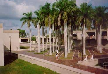 New College to Absorb USF's Sarasota Campus as Florida Reshapes Higher Education Funding