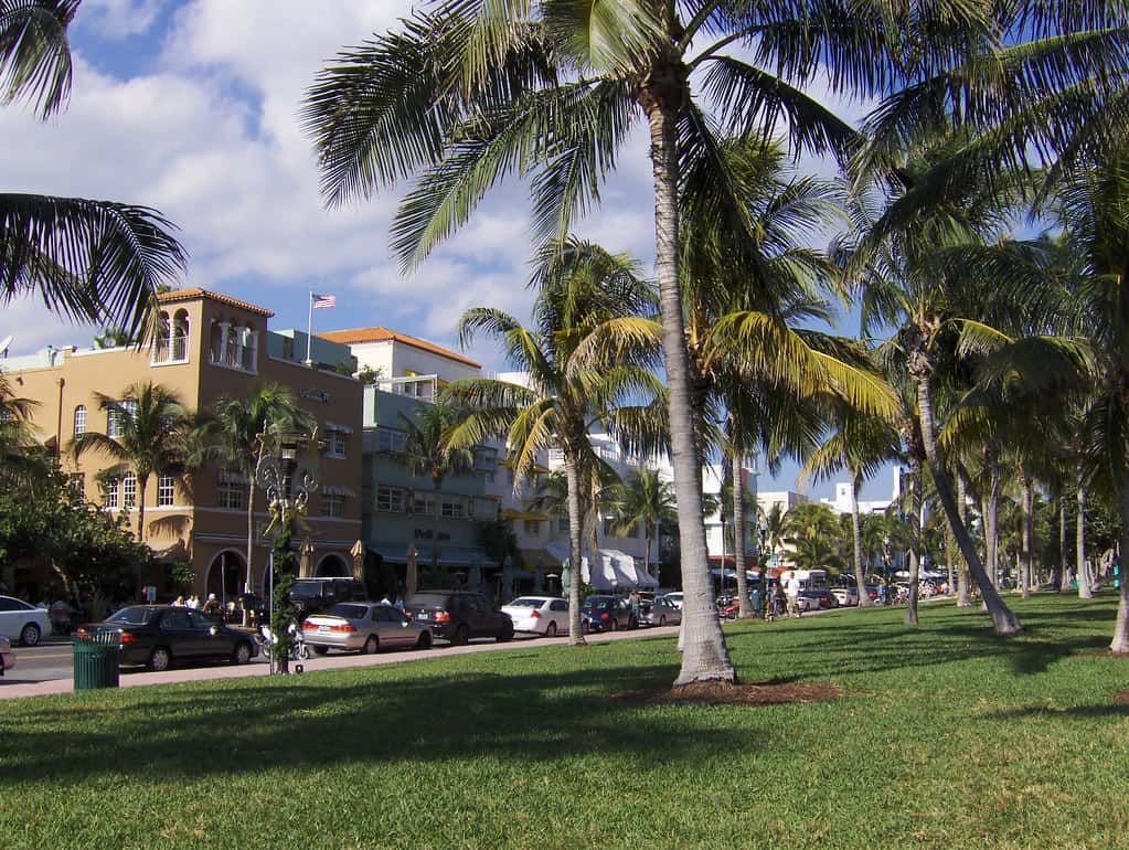 Miami Beach Votes to Close Ocean Drive to Cars From Thanksgiving Through March