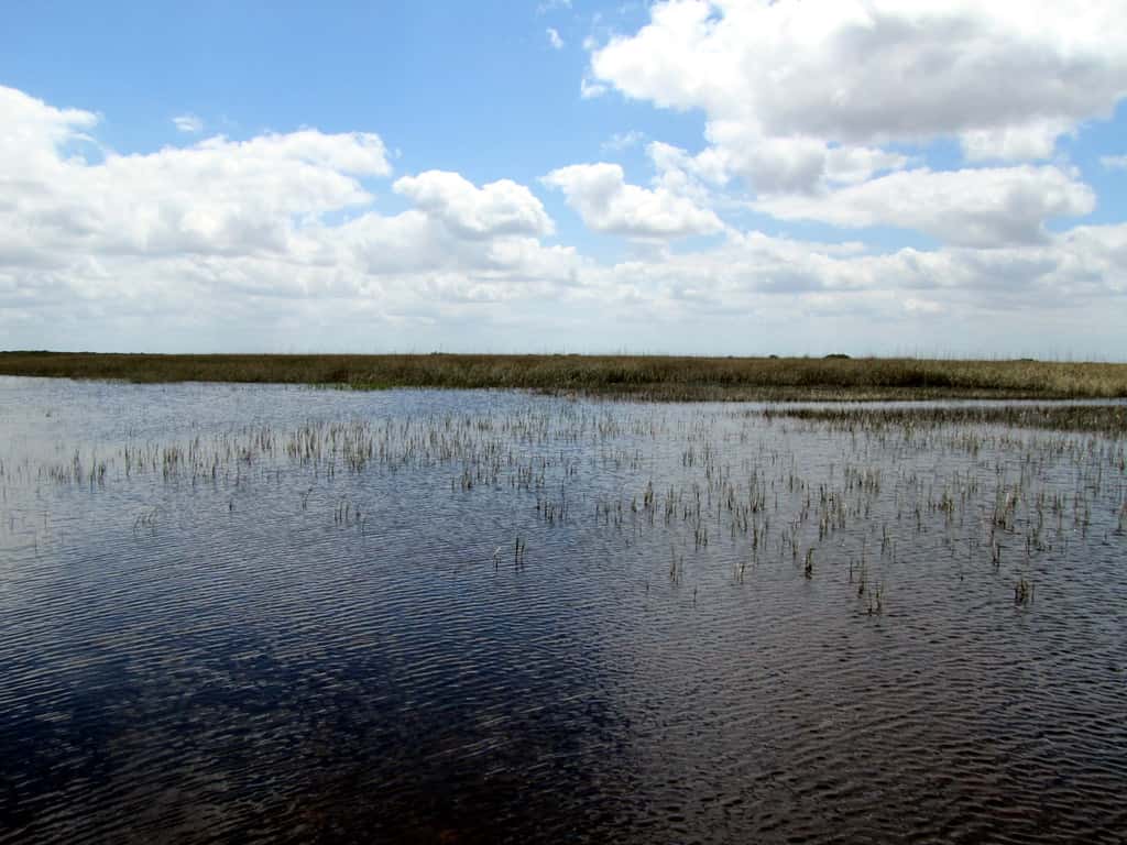 Florida Has Collected $84.5 Million of a $608 Million Federal Grant
