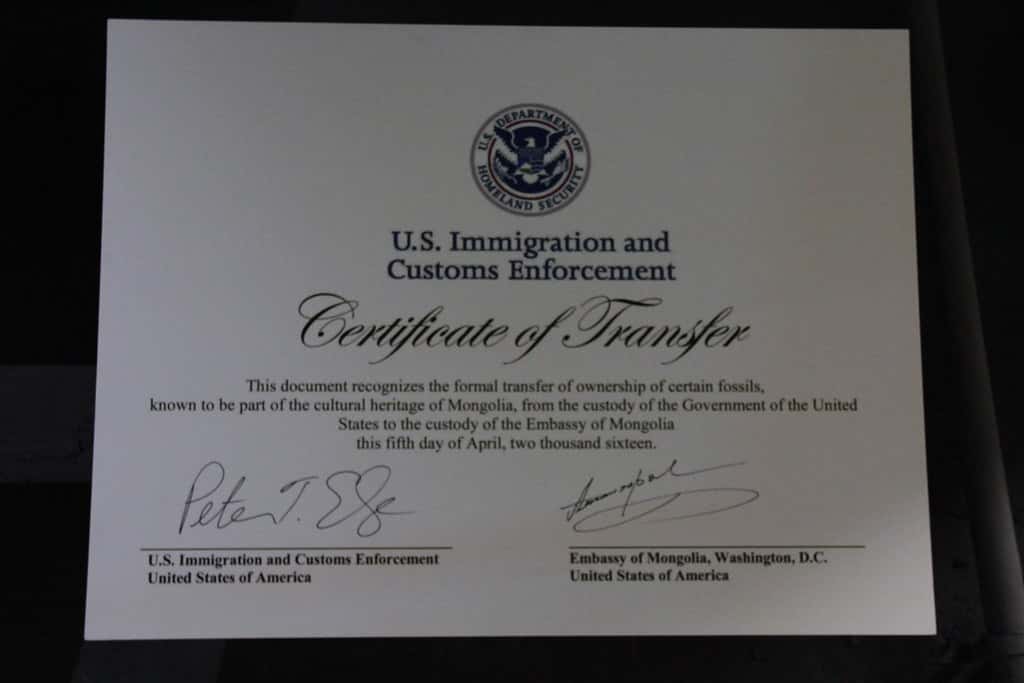 Florida's Immigration Crackdown Deepens as Operation Tidal Wave Tops 10,000 Arrests