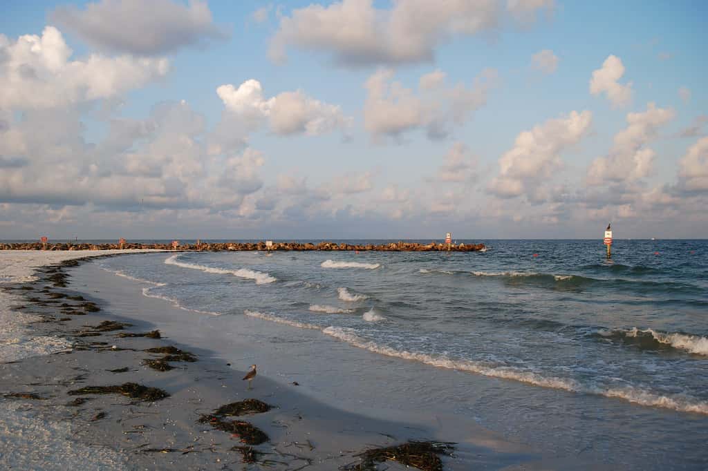 Florida Bakes in Mid-90s Heat With High Rip Current Risk on Both Coasts