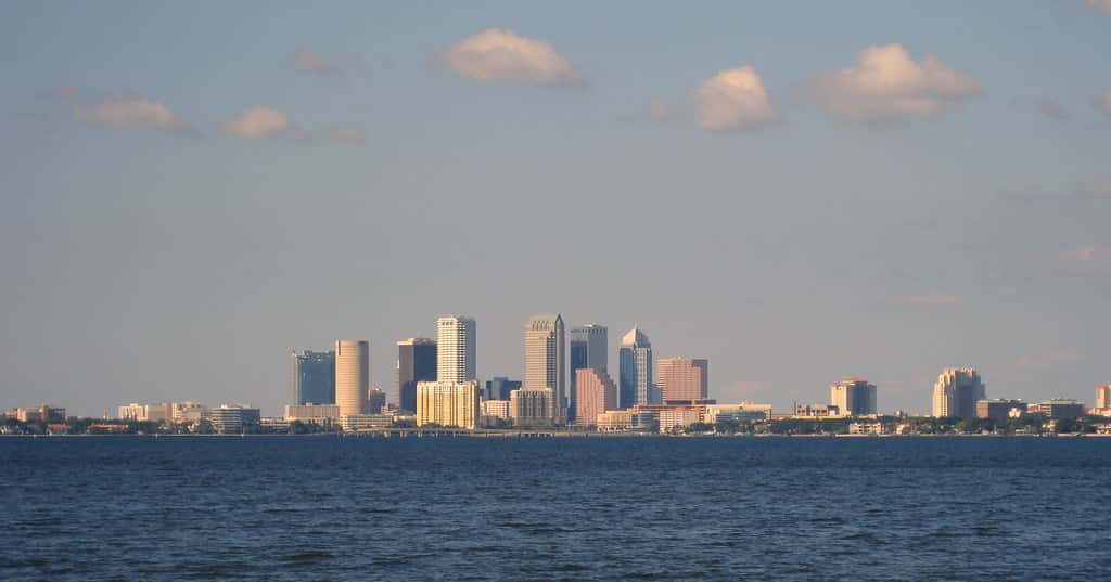 Tampa Bay Wave Ranked Third-Best Startup Accelerator in the Country by TIME