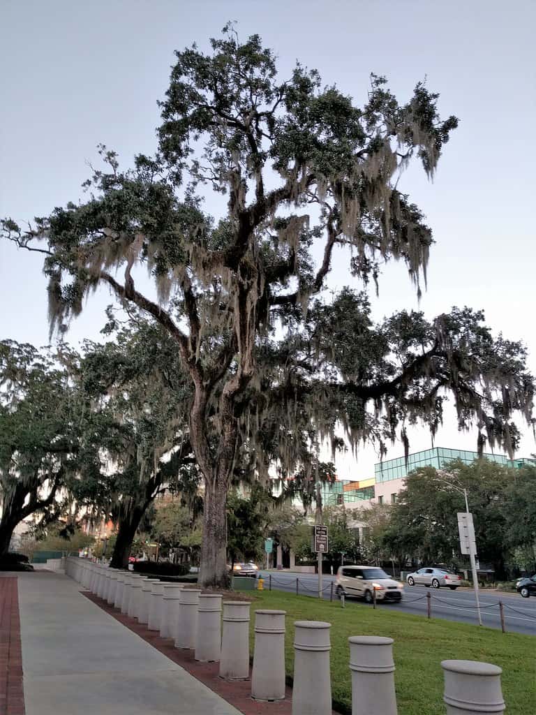 Leaked Hope Florida Grand Jury Report Finds $10 Million in Taxpayer Money Was Misappropriated