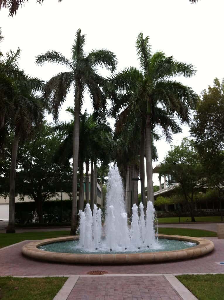 New Federal Limits on Student Visa Stays Reach Florida's International Campuses