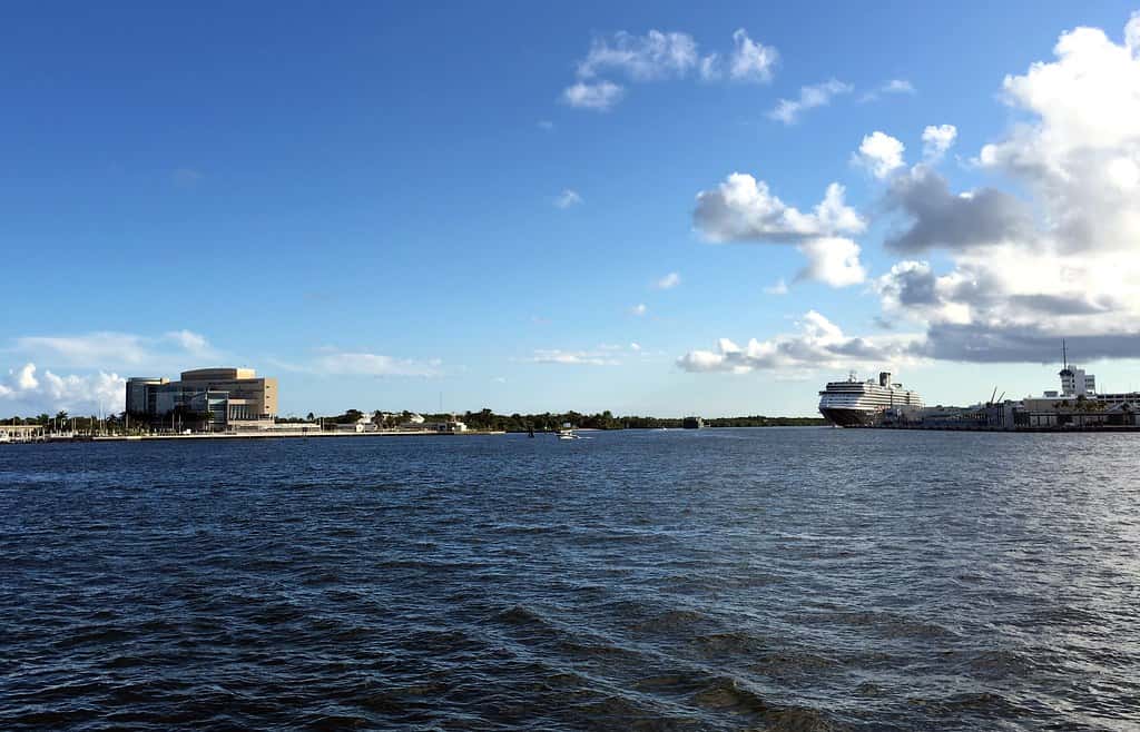Cruise Lines Deepen Florida Ties as Royal Caribbean and Carnival Expand Port Offerings
