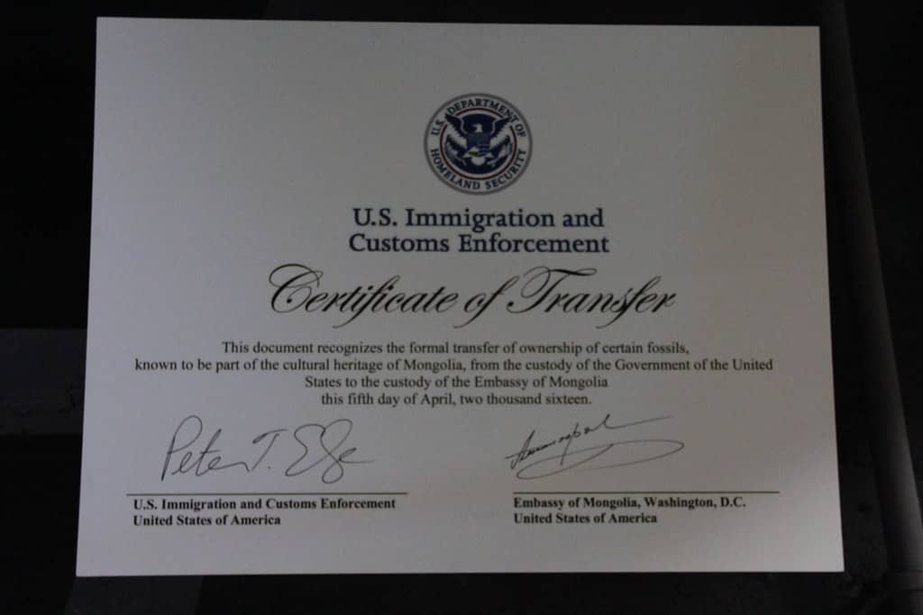 Florida's Immigration Crackdown Deepens as Operation Tidal Wave Tops 10,000 Arrests