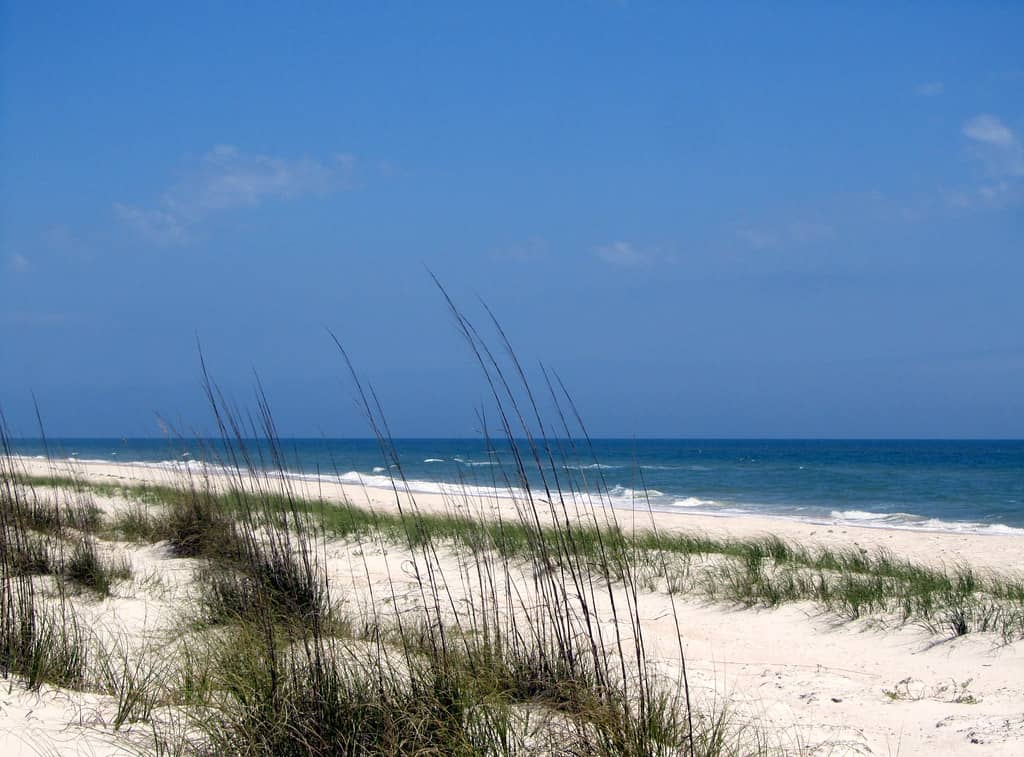 Panhandle Beaches Under Water Quality Advisories as Bacteria Levels Climb