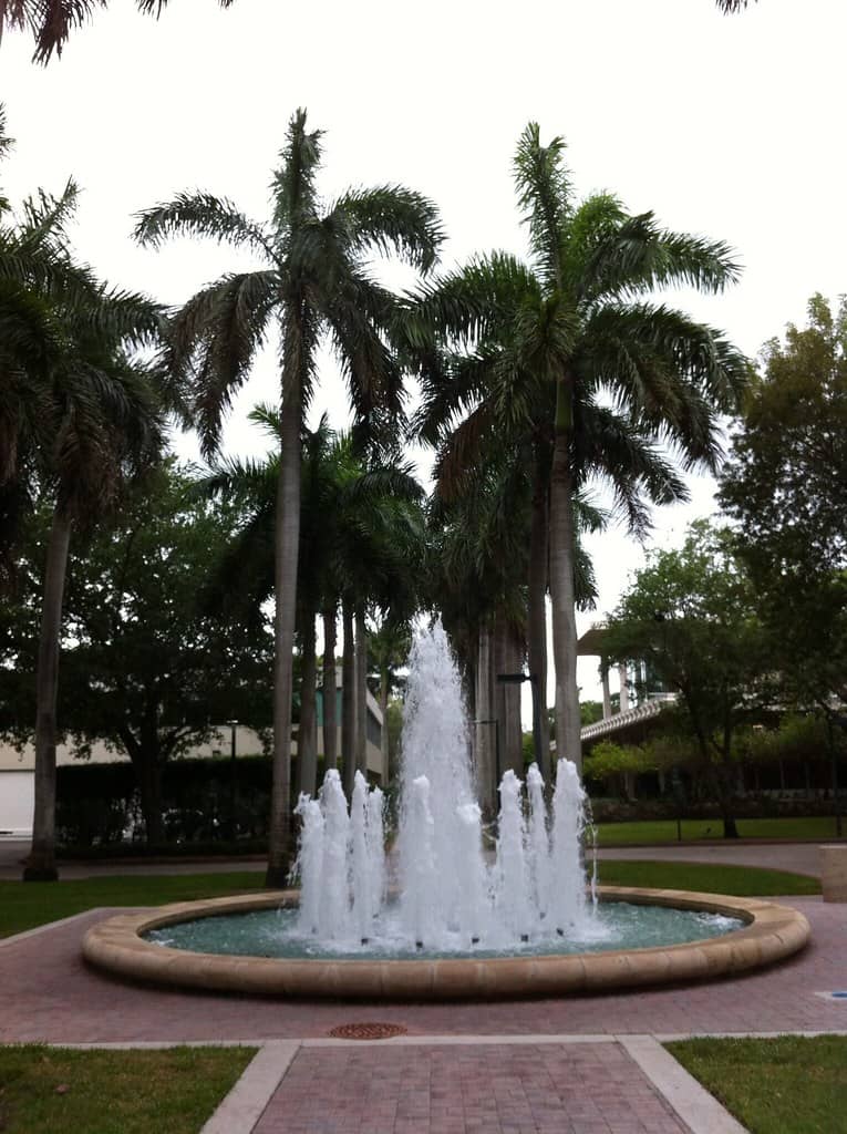 New Federal Limits on Student Visa Stays Reach Florida's International Campuses
