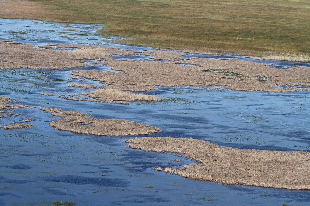Toxic Algae Blankets More Than 60 Percent of Lake Okeechobee as Bloom Nears Worst on Record