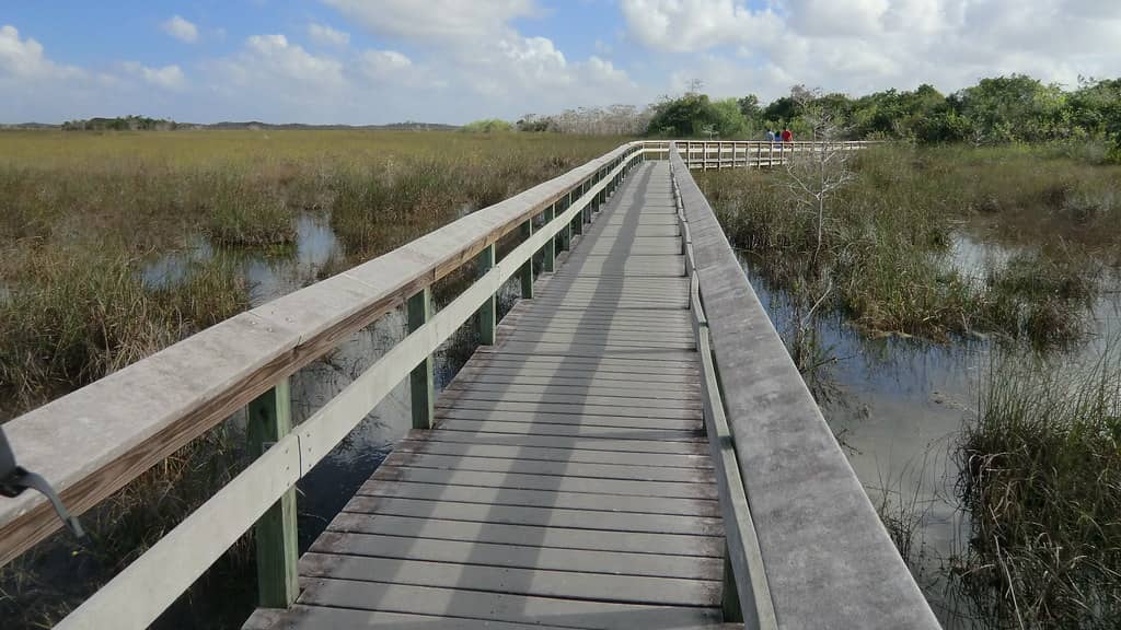 Everglades Reservoir Timeline Moves Up to 2029 After $2 Billion Federal Infusion