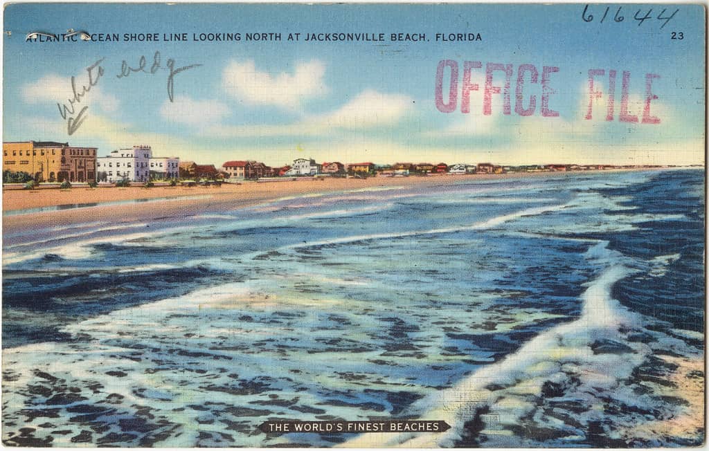 Florida Reports First Vibrio Vulnificus Death of 2026 in Palm Beach County