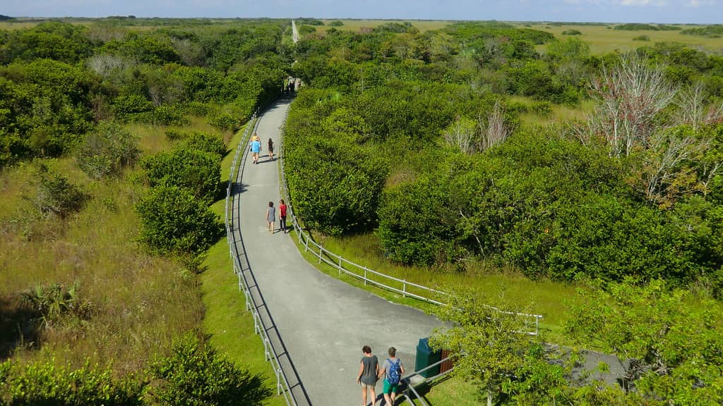 Florida Pours $645 Million Into Everglades Restoration as EAA Reservoir Runs Years Ahead of Schedule