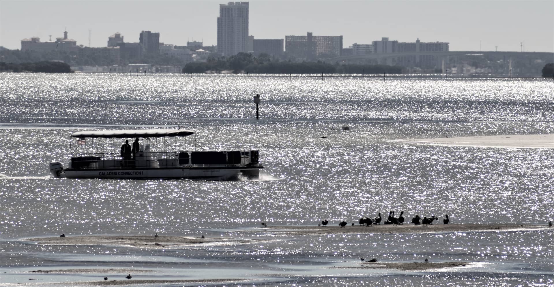 Judge Weighs Whether Jurors Can Hear About Jeff Knight's 2019 Boat Crash in Clearwater Ferry Case