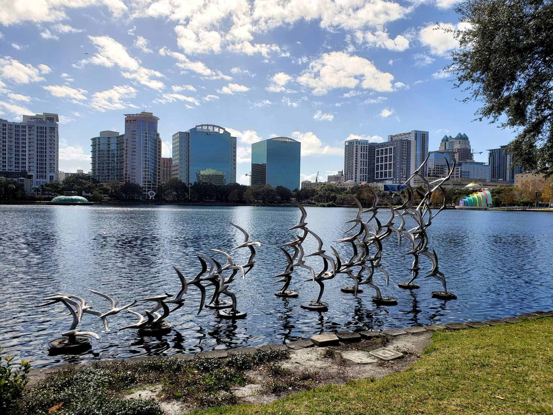 Orlando Removes All 42 Swans From Lake Eola After Avian Flu Outbreak