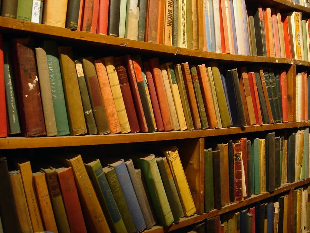 Florida Education Commissioner Orders Districts to Audit Library Books Without Waiting for Parent Complaints