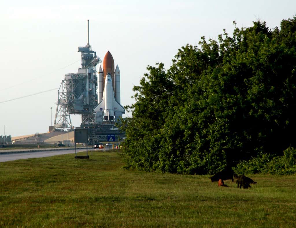 NASA Turns to Artemis III at Kennedy After Successful Lunar Flight