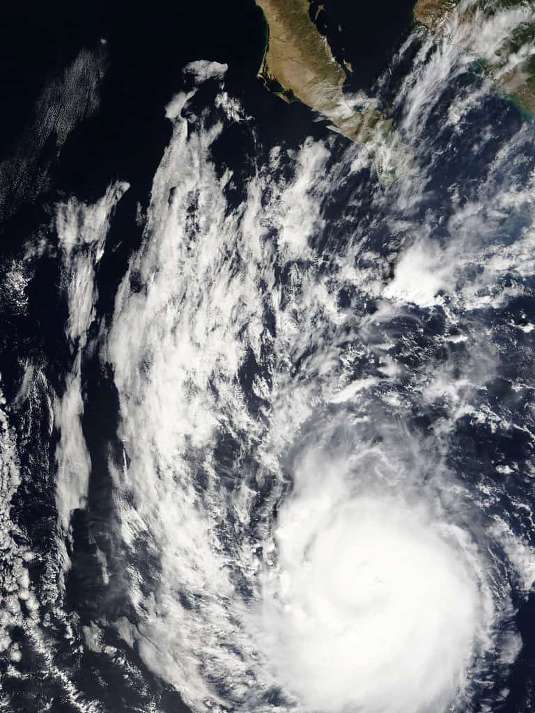 Peak of Hurricane Season Passes Quietly for Florida as a Stalled Low Soaks the South Coast