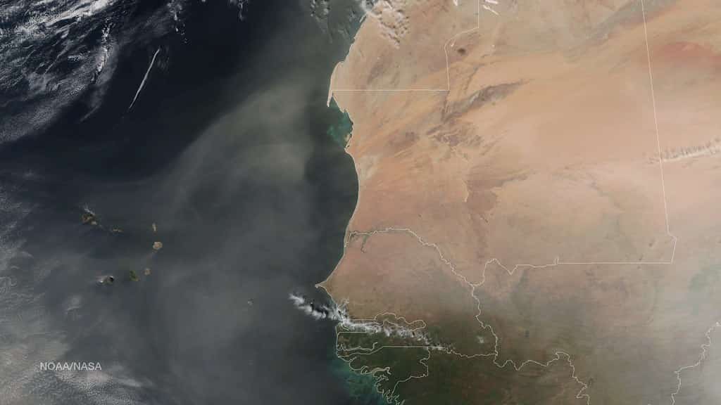 Saharan Dust Plume Hazes Florida Skies and Suppresses Tropical Development