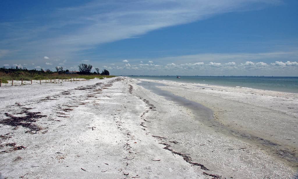 Red Tide Stays Quiet Along Southwest Florida as New Forecasting Tools Aim to Predict the Next Bloom