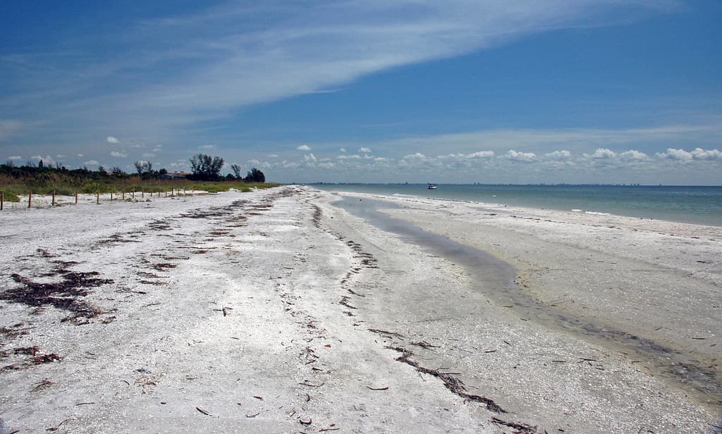 Red Tide Stays Quiet Along Southwest Florida as New Forecasting Tools Aim to Predict the Next Bloom