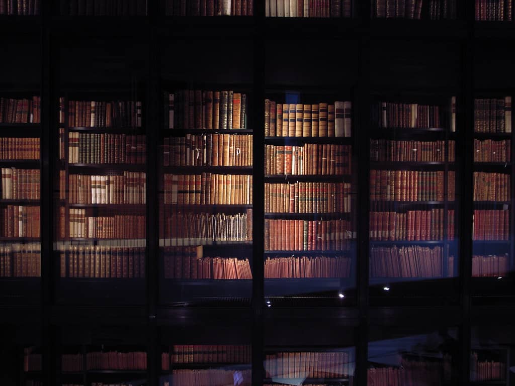 Florida Education Commissioner Gives Districts 90 Days to Purge Sexually Explicit Books