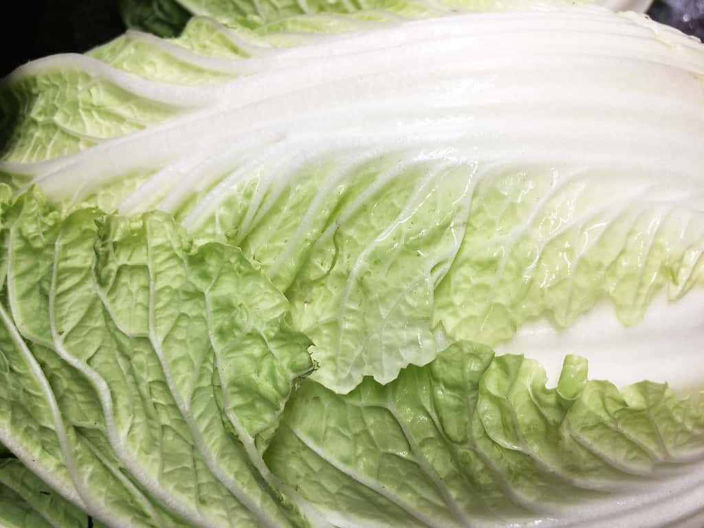 Lettuce Recall Reaches Florida Shelves as FDA Weighs a Cyclospora Scare and a False-Positive Test
