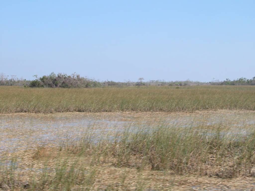 Florida Marks Everglades Restoration Milestone as Reservoir Contracts Move Ahead of Schedule
