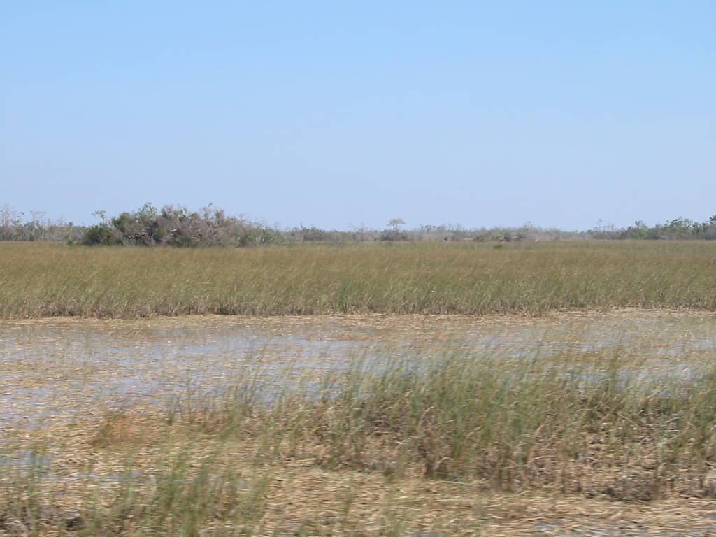 Everglades Restoration Accelerates as Key Reservoir Runs Years Ahead of Schedule