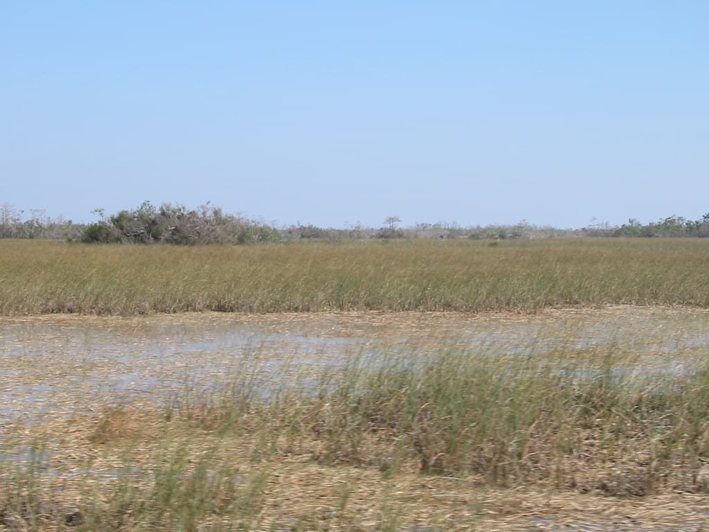Florida Marks Everglades Restoration Milestone as Reservoir Contracts Move Ahead of Schedule