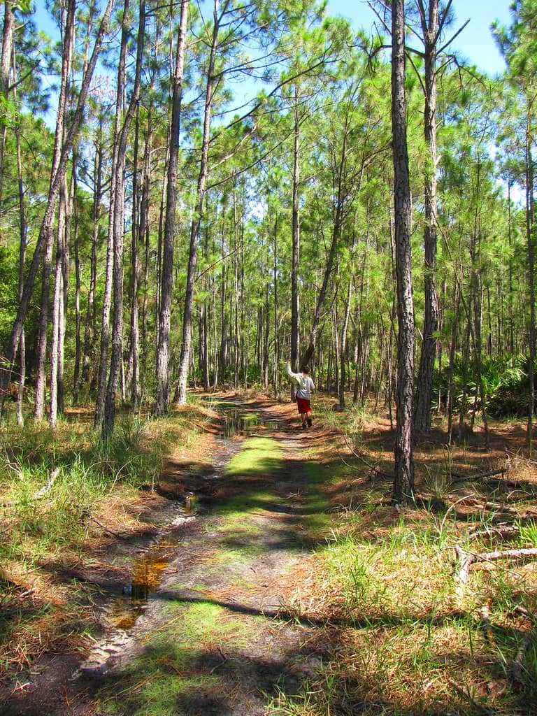 Florida Attorney General Proposes New Felony Charge for Poaching Near Homes and Occupied Buildings