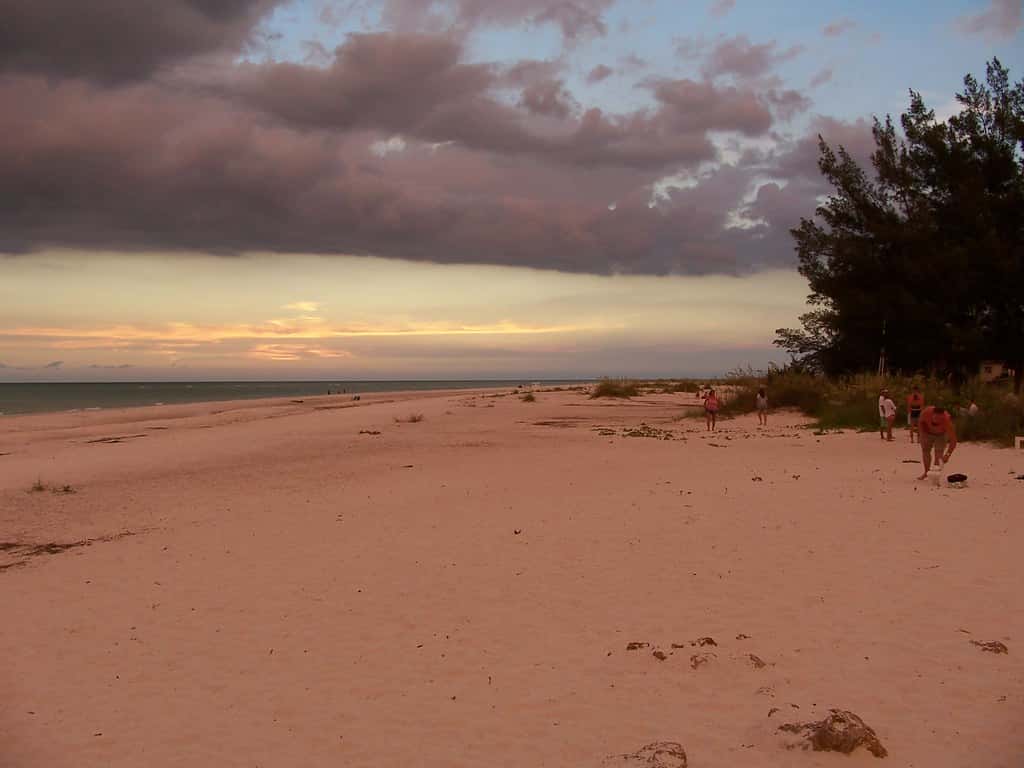 Dangerous Heat Grips Florida Before a Wet Weekend as a Tropical Wave Boosts Rain Chances