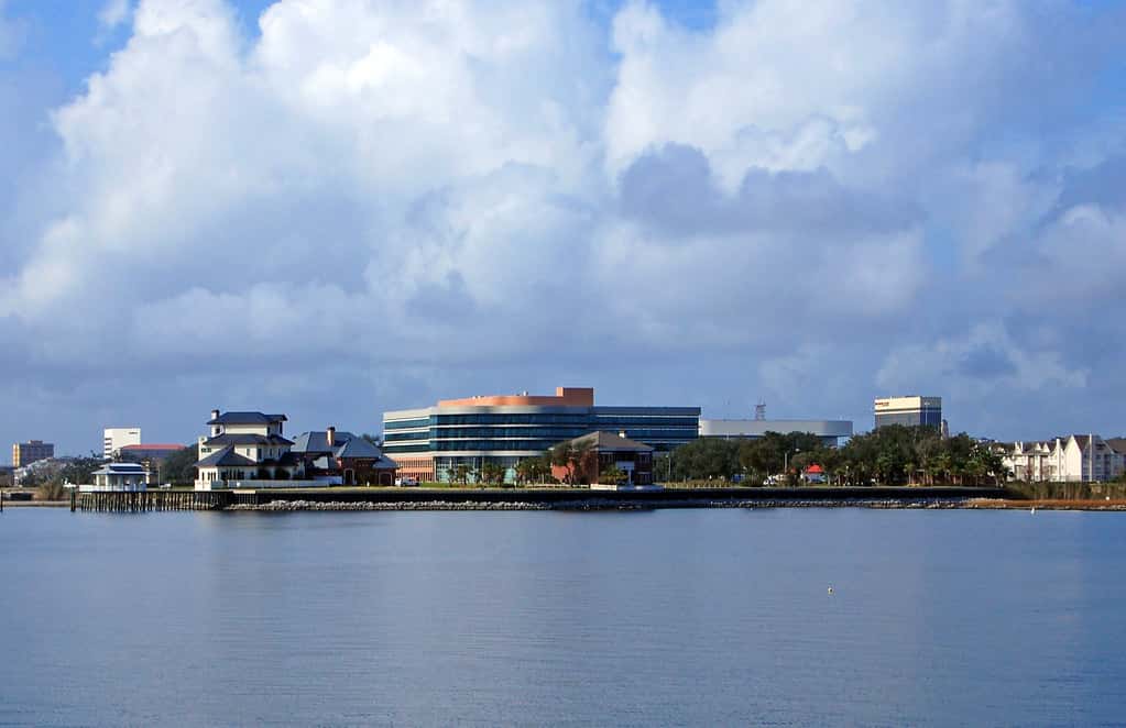 FDLE Cybercrime Agents Make Arrests in Pensacola and Mount Dora Cases