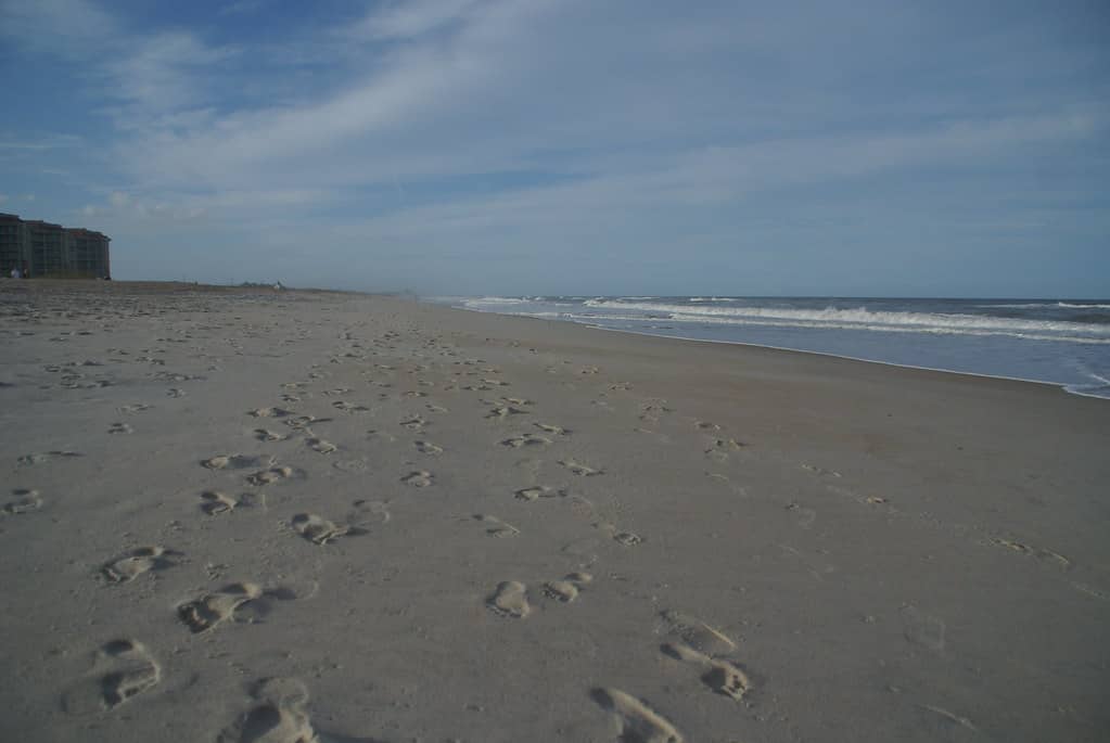 Red Tide Turns Up on Florida's Atlantic Coast as Gulf Waters Stay Quiet